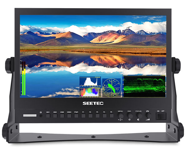 P133-9DSW waveform vectorscope histogram